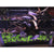 Beratung mit Einrichten - GarnelenTv-Shop

Aquarium Beratung: Technik, Einrichtung und Pflege

