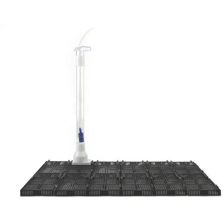 Bodenfilter fürs Aquarium (luftbetrieben) - GarnelenTv-Shop

Luftbetriebener Bodenfilter für Aquarien

