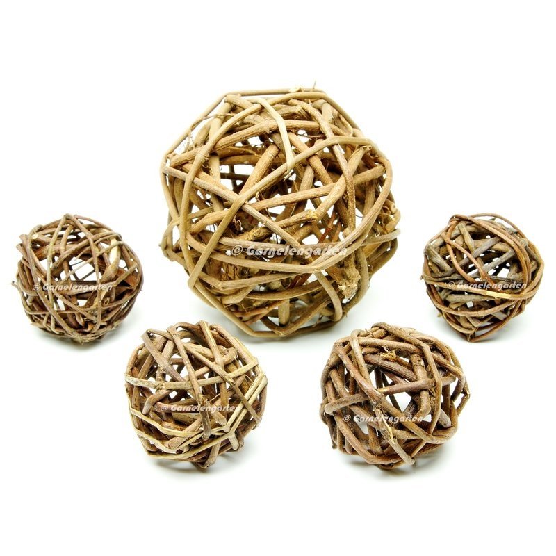 Branch Shelter natural 1 Stück Größe: S - GarnelenTv-Shop

Branch Shelter natural – Weidenkugel für Aquarium

