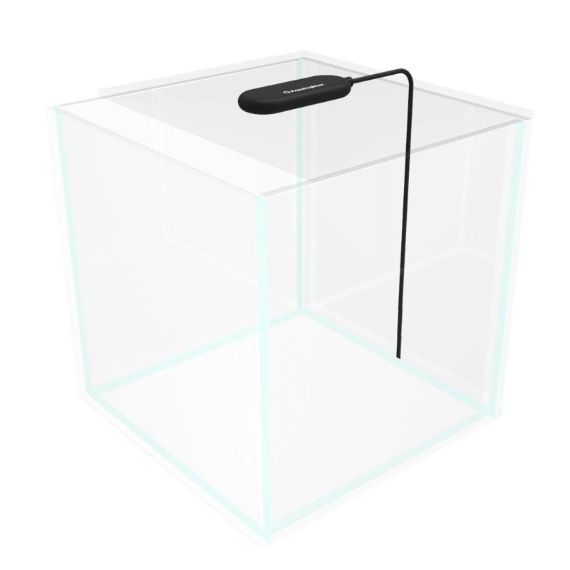 Collar AquaLighter Pico Tablet schwarz - GarnelenTv-Shop

USB betrieben Collar AquaLighter Pico für Aquarien
