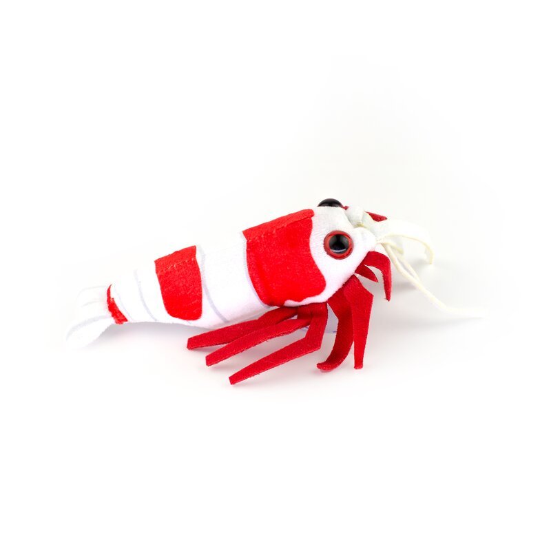 Crystal Red Garnele Kuscheltier - GarnelenTv-Shop

Crystal Red Garnele Kuscheltier – 24 × 17 × 6 cm
