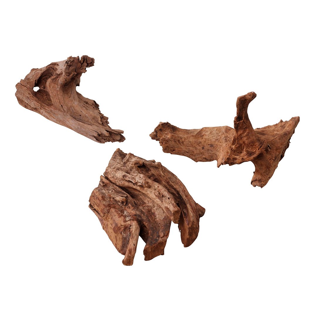 Dekoholz jati Mangrovenwurzel für Aquarien oder Terrarien - 350-550MM - GarnelenTv-Shop

Dekoholz Jati Mangrovenwurzel für Aquarien – Robuste Dekoration

