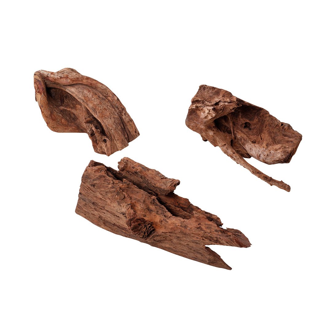 Dekoholz jati Mangrovenwurzel für Aquarien oder Terrarien - 350-550MM - GarnelenTv-Shop

Naturdekoration aus Jati Mangrovenholz für Aquarien und Terrarien

