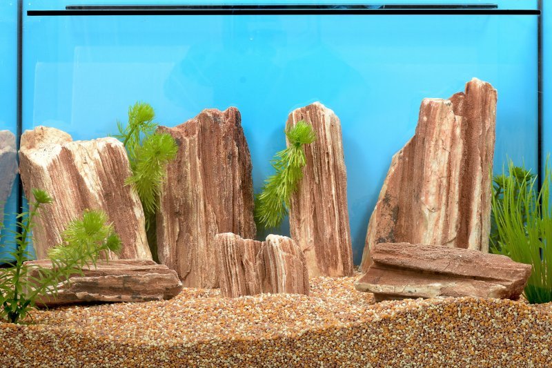 Dekostein versteinertes Holz - GarnelenTv-Shop

Dekostein versteinertes Holz – Natürliche Stein-Dekoration

