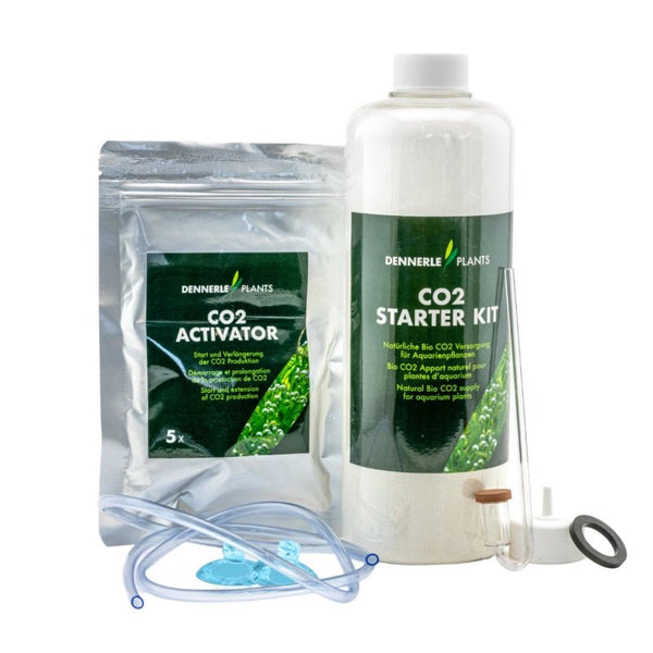 Dennerle Plants - CO2 Starter Kit - GarnelenTv-Shop