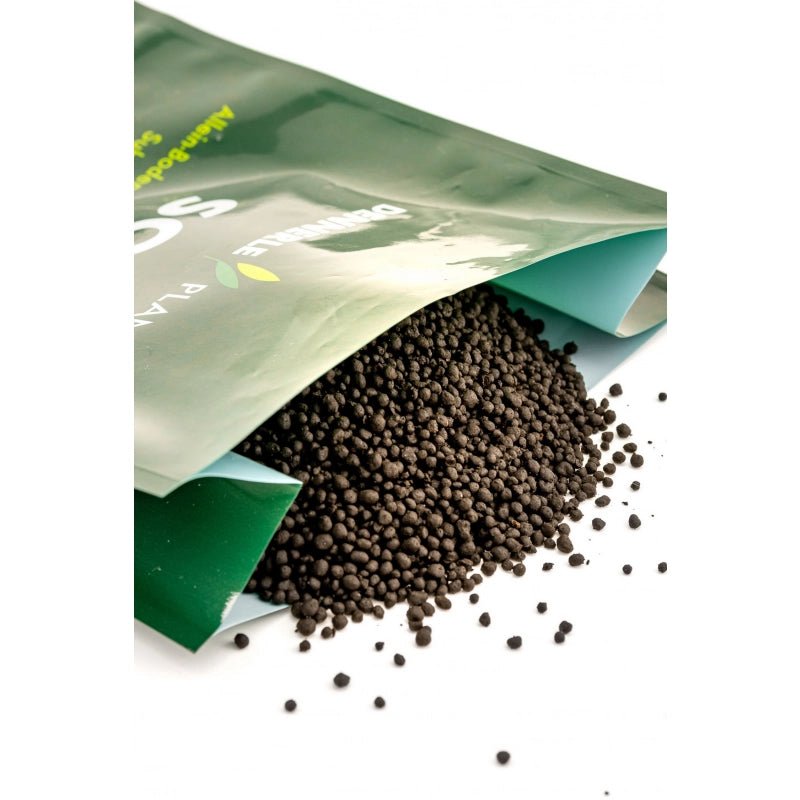 Dennerle Plants - Soil - GarnelenTv-Shop

Dennerle Plants Soil Bodengrund
