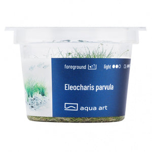 Eleocharis parvula - InVitro - GarnelenTv-Shop

Grüner Rasen von Eleocharis parvula im Vordergrund eines Aquariums

