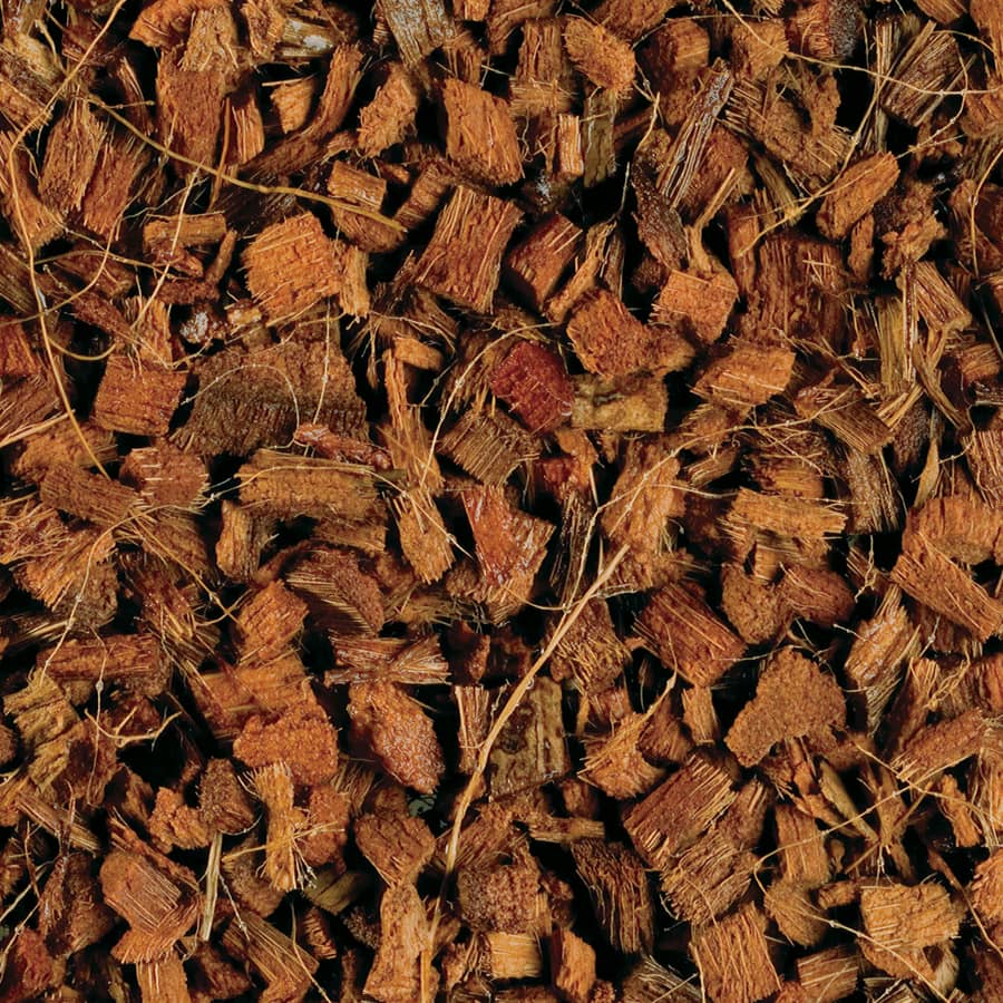 EXO TERRA COCO HUSK - TERRARIENSUBSTRAT AUS KOKOSNUSSSCHALE - GarnelenTv-Shop

Kokosnussschalen-Substrat für Reptilien und Amphibien

