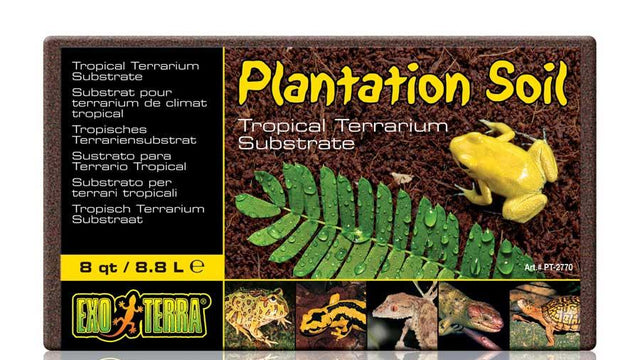 EXO TERRA PLANTATION SOIL BRICK - TROPISCHES TERRARIENSUBSTRAT - 3 Pack - GarnelenTv-Shop

Exo Terra Plantation Soil Brick – Kokosfaser-Substrat für Terrarien

