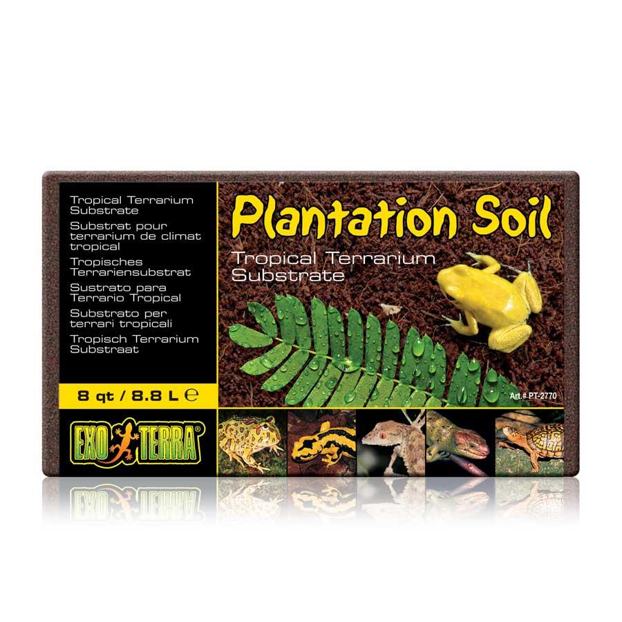 EXO TERRA PLANTATION SOIL BRICK - TROPISCHES TERRARIENSUBSTRAT - 3 Pack - GarnelenTv-Shop

Exo Terra Plantation Soil Brick – Kokosfaser-Substrat für Terrarien

