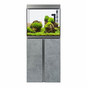 Fluval Aquarium Siena mit Fischbesatz