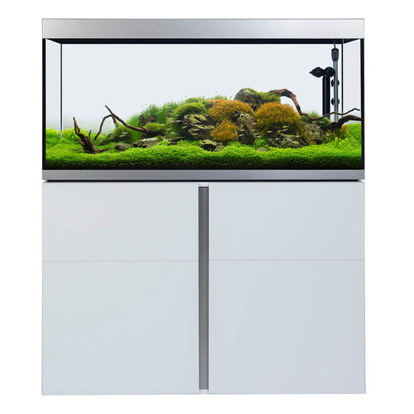 Fluval - Siena Serie Aquarium - GarnelenTv-Shop