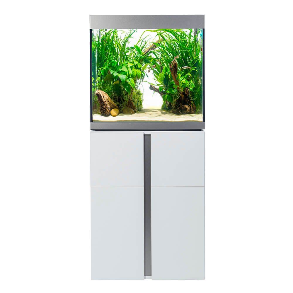 Fluval - Siena Serie Aquarium - GarnelenTv-Shop

Fluval Siena Aquarium mit modernem Design

