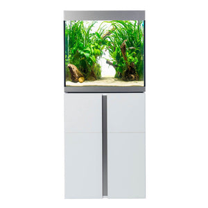 Fluval - Siena Serie Aquarium - GarnelenTv-Shop

Fluval Siena Aquarium mit modernem Design

