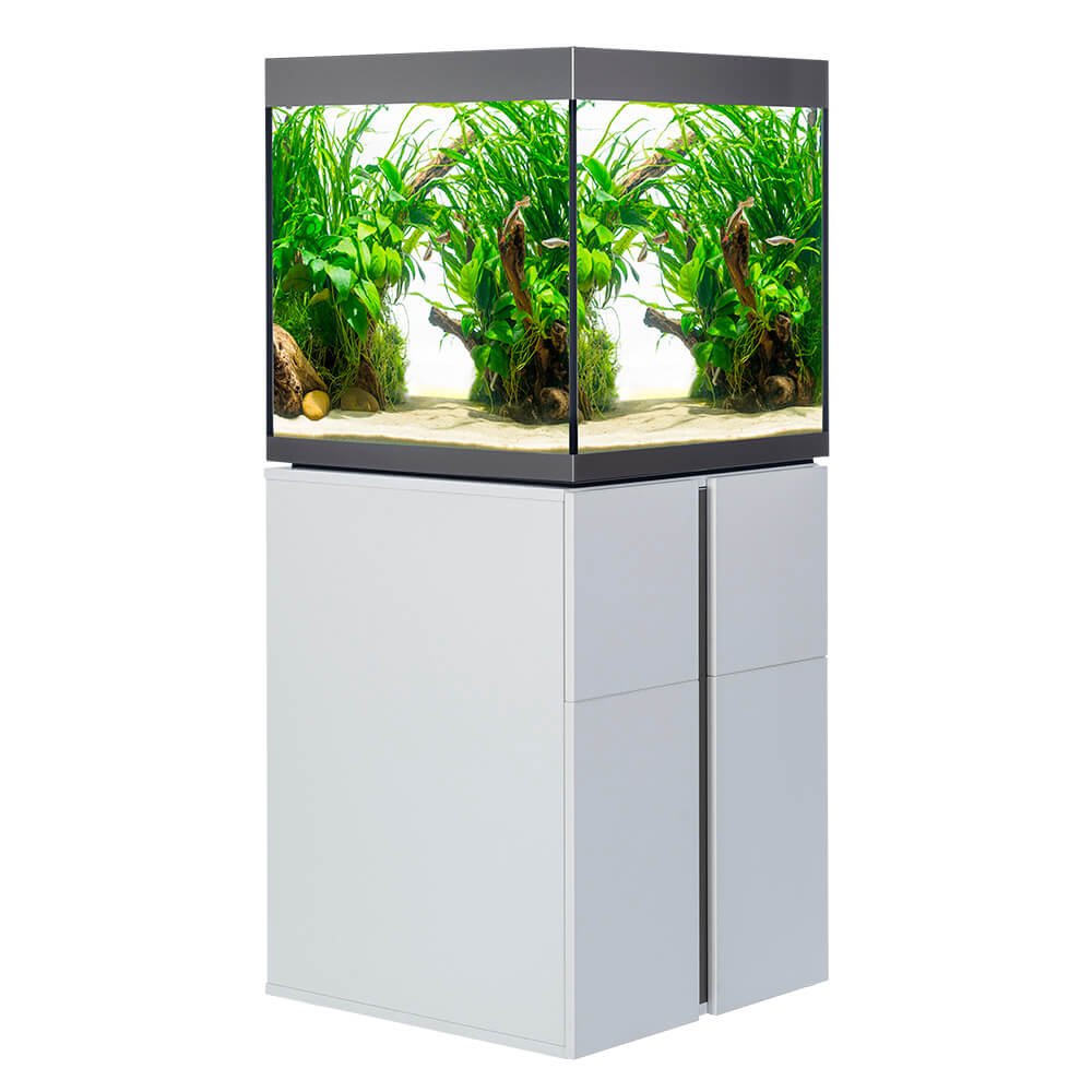 Fluval Siena Aquarium mit Bodengrund