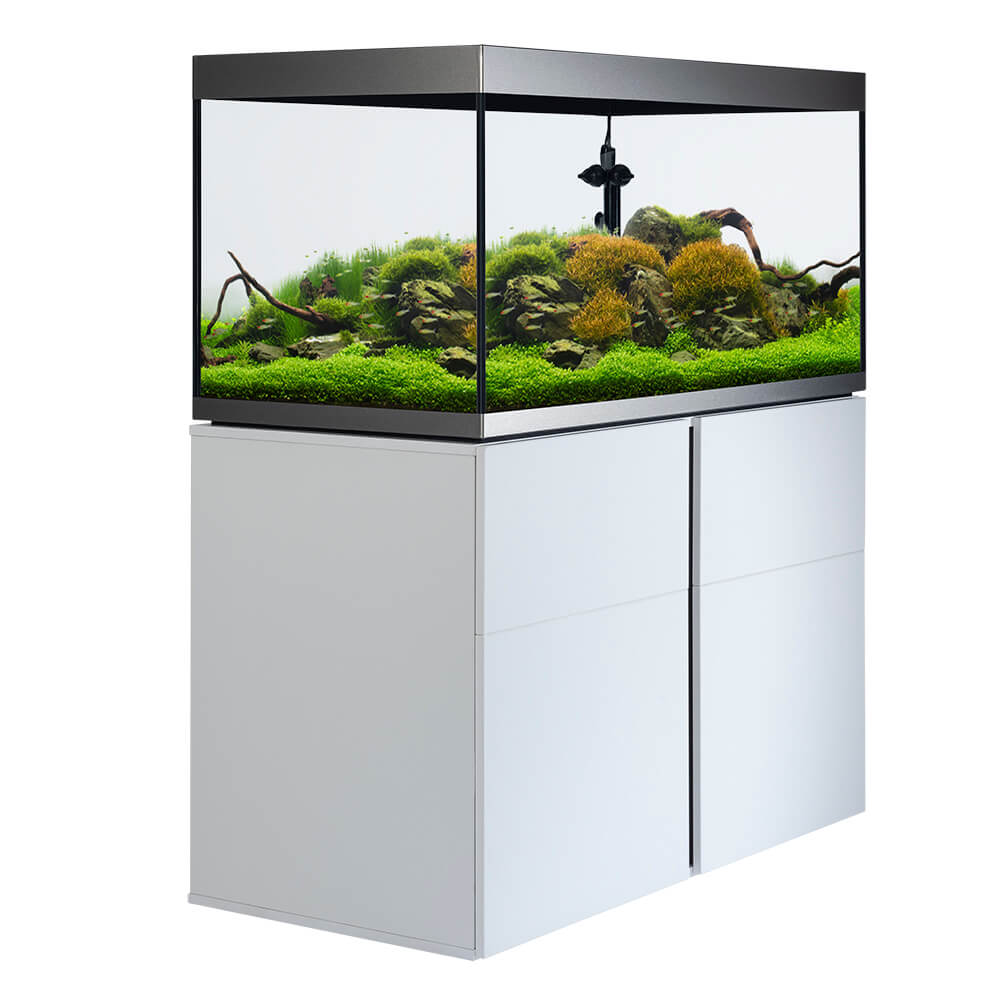 Fluval - Siena Serie Aquarium - GarnelenTv-Shop