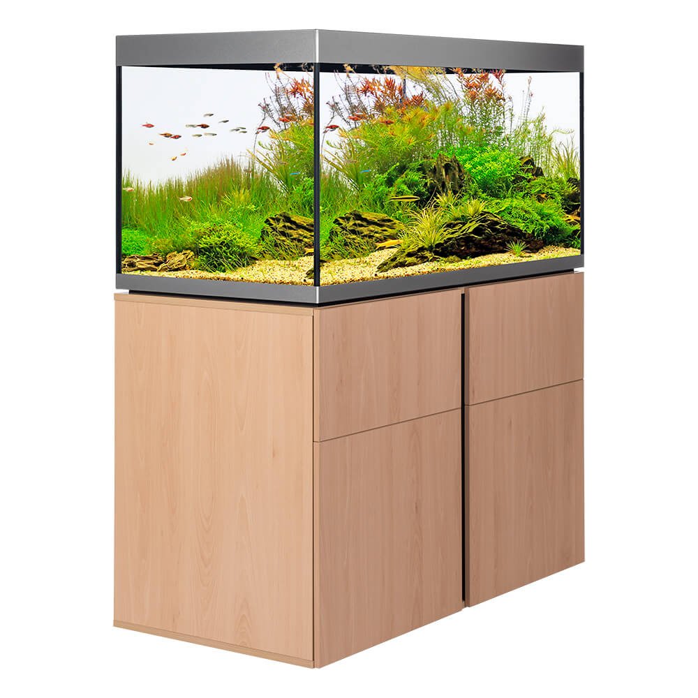 Innenansicht des leeren Siena Aquariums