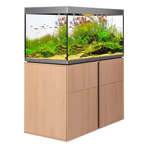 Innenansicht des leeren Siena Aquariums