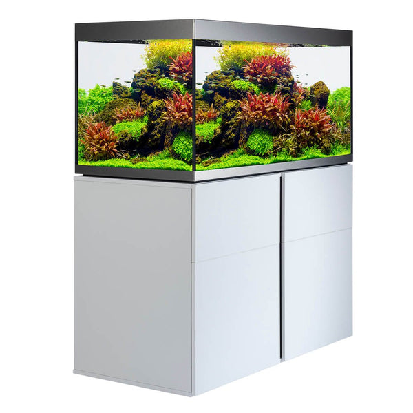 Fluval - Siena Serie Aquarium - GarnelenTv-Shop