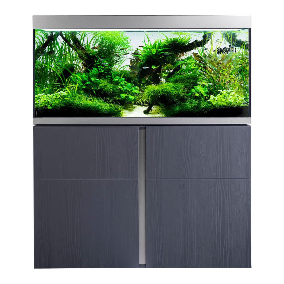 Fluval - Siena Serie Aquarium - GarnelenTv-Shop