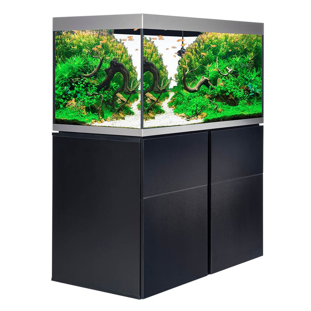 Elegantes Fluval Aquarium Setup

- GarnelenTv-Shop