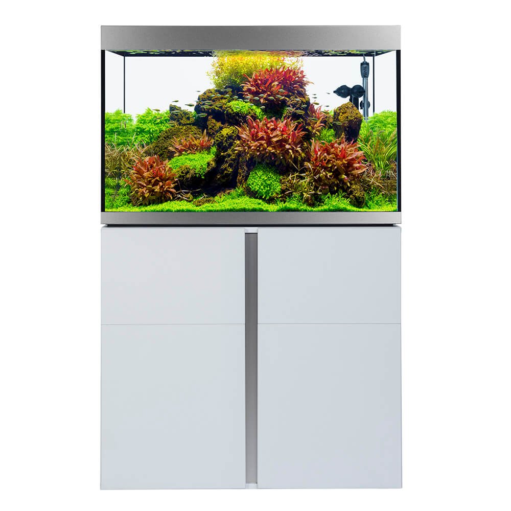 Aquarieneinrichtung mit Fluval Siena

