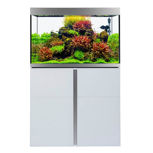 Aquarieneinrichtung mit Fluval Siena

