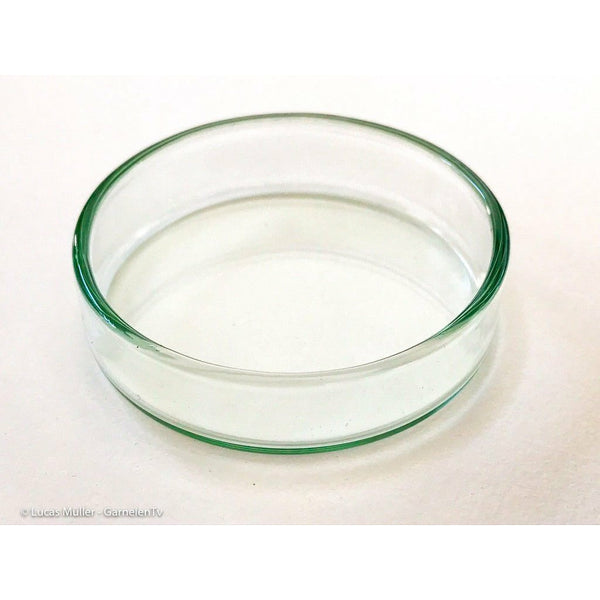Futterschalen aus Glas | Optimal für Wirbellose / Zwerggarnelen und Krebse - GarnelenTv-Shop