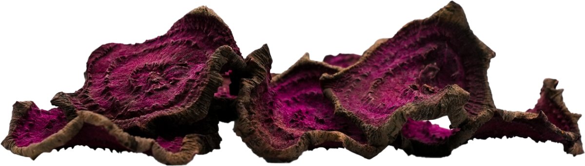 GarnelenTv Premium - Rote Beete Chips - GarnelenTv-Shop

GarnelenTv Rote Beete Chips

