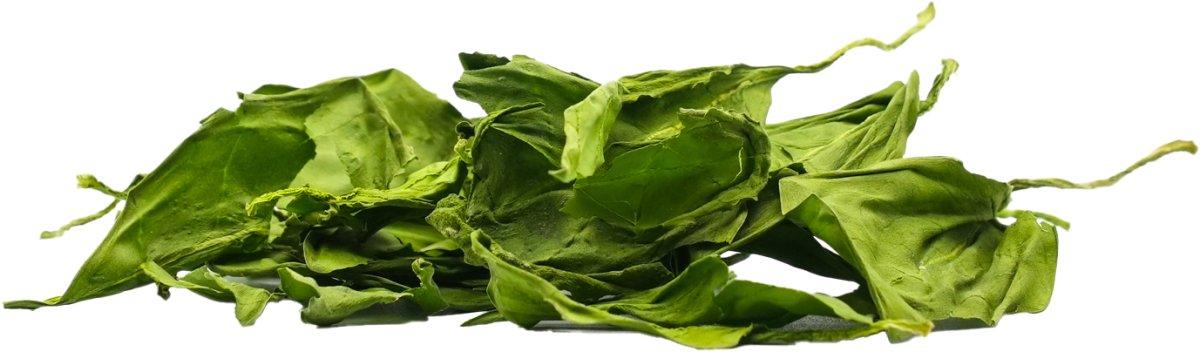Spinat Blätter für Garnelen