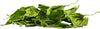 GarnelenTv Premium - Spinat Blätter - GarnelenTv-Shop