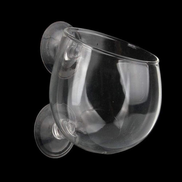 Glas Cup Topf Mit 2 X SaugnäPfe FüR Aquarium Pflanzschale Glas Deko Plant  Pot