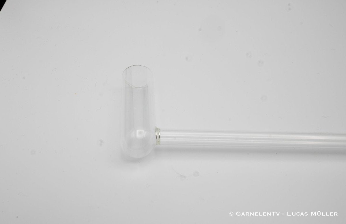 Glas Selektierpfeife - GarnelenTv-Shop

Stressfreies Selektieren kleiner Aquarientiere

