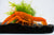 Goldener Cherax, Cherax cf. snowden - GarnelenTv-Shop

Goldener Cherax Cherax cf. Snowden im Aquarium

