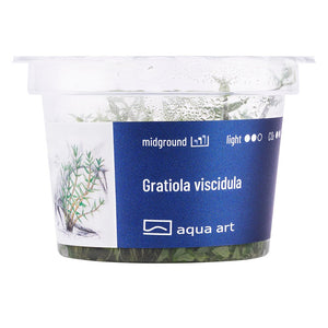 Gratiola viscidula - InVitro - GarnelenTv-Shop

Gratiola viscidula Triebe im Aquarium – langsames Wachstum

