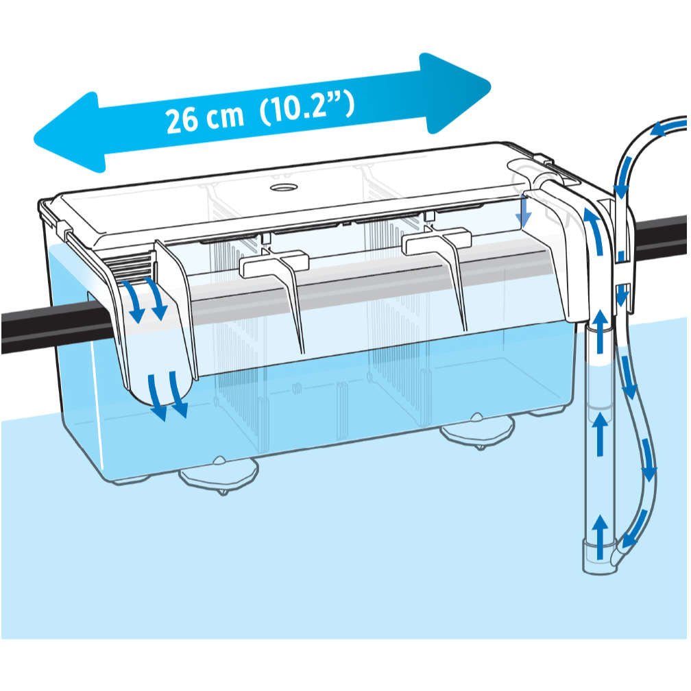 Hang-On Breeding Box L - Fluval - GarnelenTv-Shop