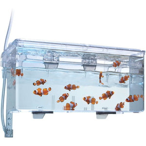 Hang-On Breeding Box L - Fluval - GarnelenTv-Shop
Hang-On Breeding Box für rahmenlose Aquarien


Hang-On Breeding Box für rahmenlose Aquarien

