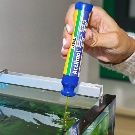 JBL Acclimol - GarnelenTv-Shop