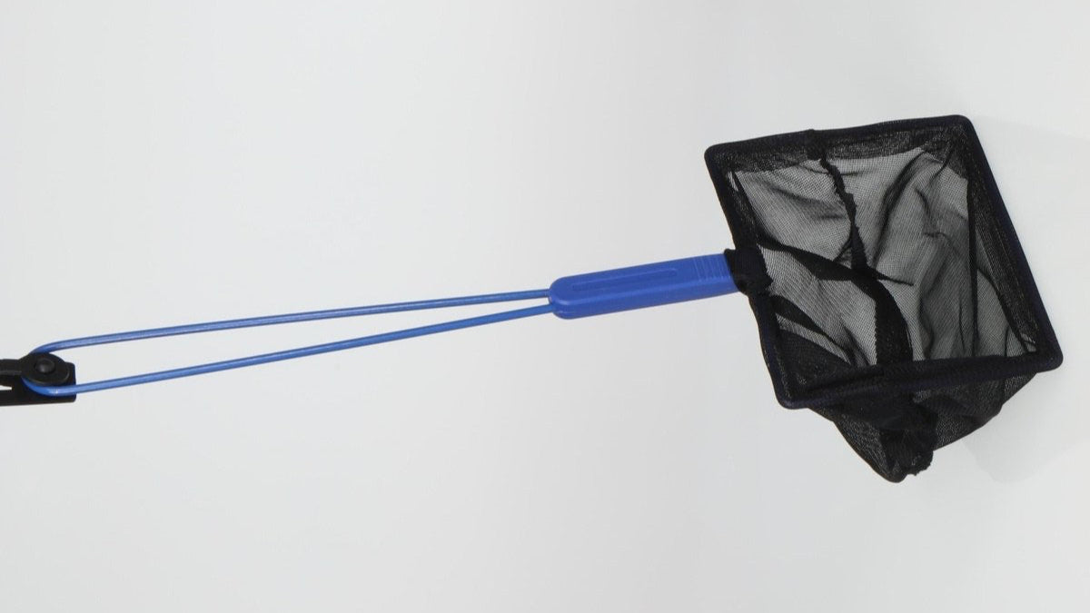 JBL Fangnetz fein 5,5cm - GarnelenTv-Shop

JBL Fangnetz Premium für Aquarienfische

