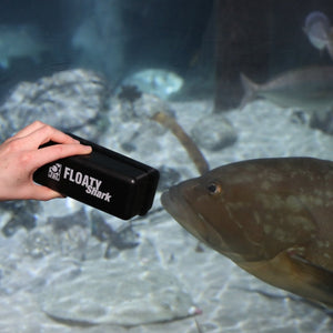 JBL FLOATY Shark - GarnelenTv-Shop

Schwimmender Scheibenreiniger JBL FLOATY Shark mit Kantenschutz

