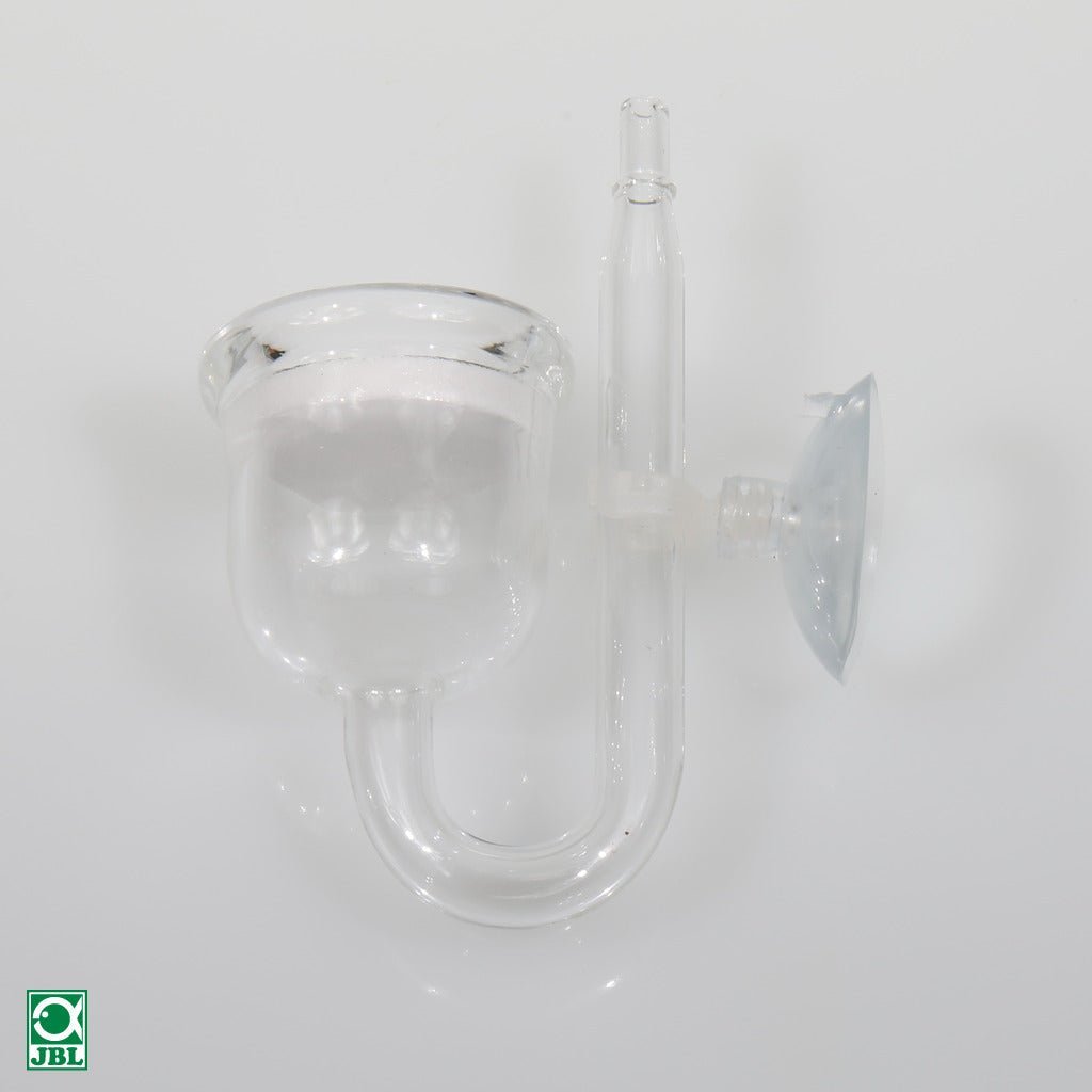 Reinigung des JBL Glas-Diffusors mit PROCLEAN POWER