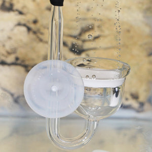 Installation des JBL CO2-Diffusors mit Saughalter
