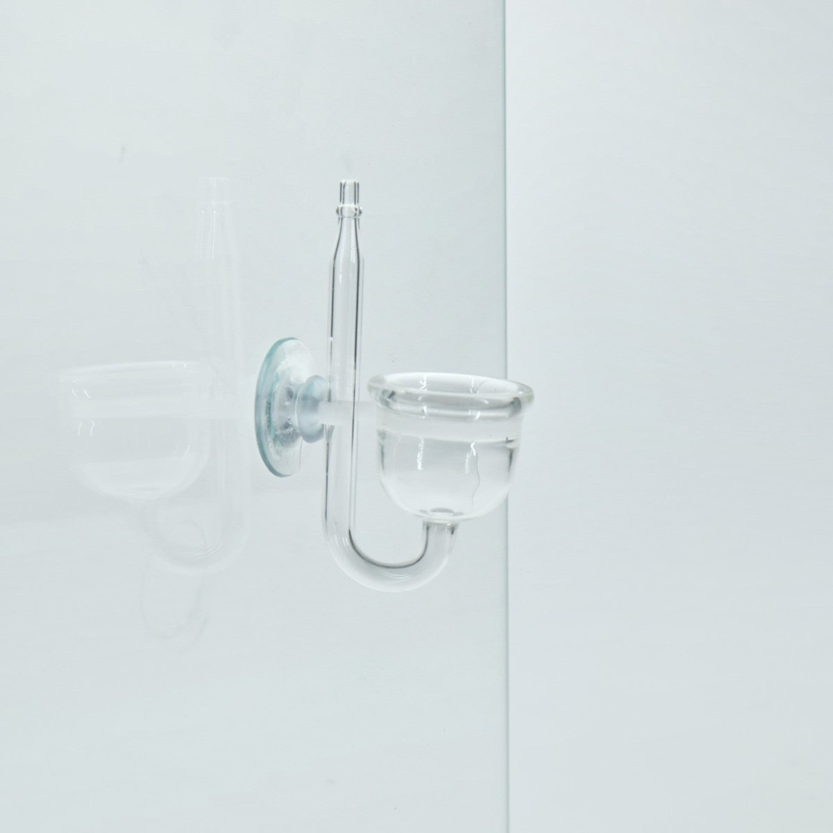 JBL PROFLORA Taifun P CO2 Didfusor - GarnelenTv-Shop

JBL PROFLORA Taifun P CO2 Diffusor im Aquarium

