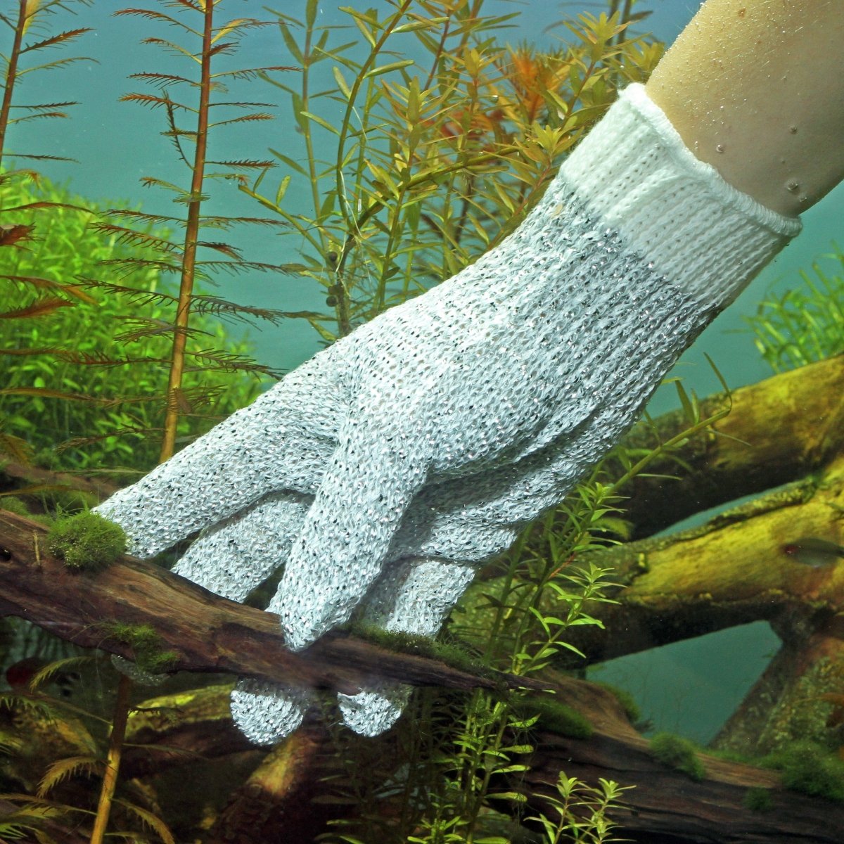 JBL PROSCAPE CLEANING GLOVE - GarnelenTv-Shop