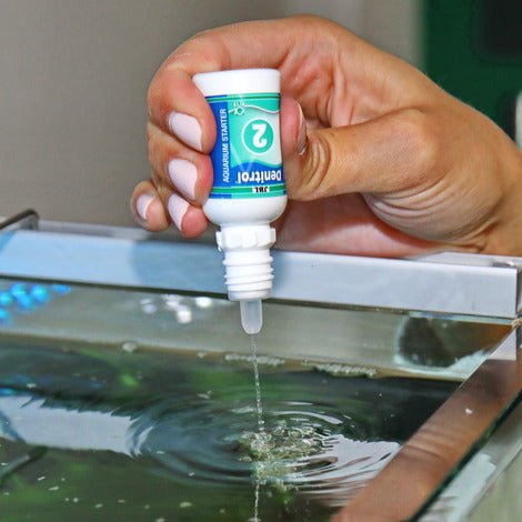 JBL StartKit - Bakterienstarter - GarnelenTv-Shop


JBL Biotopol und Denitrol – Wasseraufbereiter und Bakterienstarter für Aquarien

