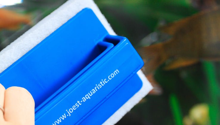 JÖST - Catfish-Halter - GarnelenTv-Shop

Effektive Aquarienreinigung mit JÖST Catfish-Halter

