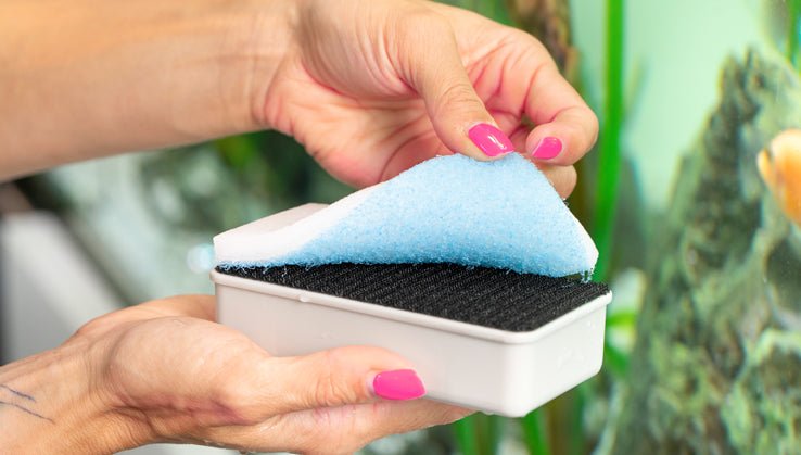 JÖST Ocean-Wave für Scheibenmagnet - GarnelenTv-Shop

JÖST Ocean-Wave Reinigungspads für Algenmagneten

