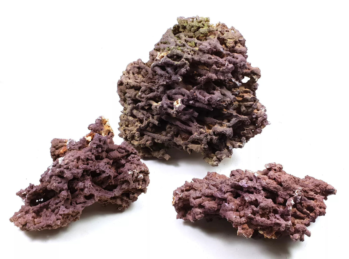 Jurassic Reef Rock - Meerwassersteine - GarnelenTv-Shop

Jurassic Reef Rock – Poröses Riffgestein für Aquarien

