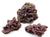 Jurassic Reef Rock - Meerwassersteine - GarnelenTv-Shop

Jurassic Reef Rock – Poröses Riffgestein für Aquarien


