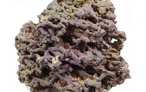 Jurassic Reef Rock - Meerwassersteine - GarnelenTv-Shop

Jurassic Reef Rock – Kalkhaltig und nachhaltig für Meerwasseraquarien

